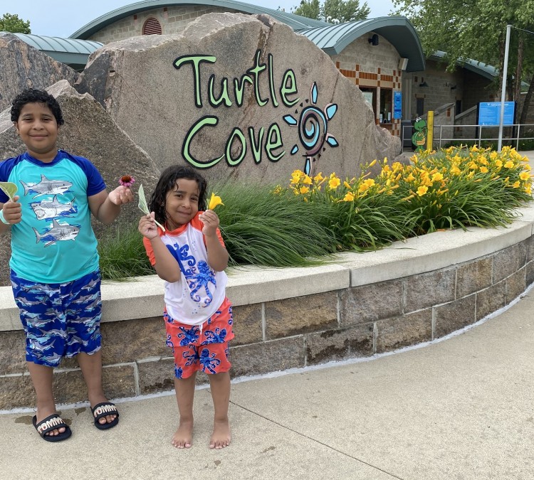 Lower Huron Metropark - Turtle Cove Family Aquatic Center (Belleville,&nbspMI)
